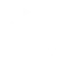 LYNCS.co.jp Favicon