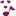 LYR1CS.com Favicon