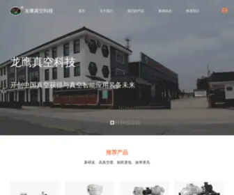 LYZKBY.com(南通龙鹰真空泵业有限公司) Screenshot