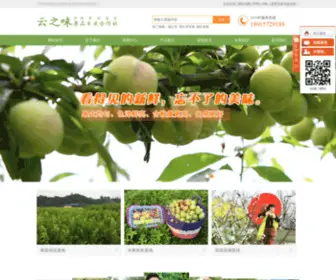 LZYZW.net(茵红李) Screenshot