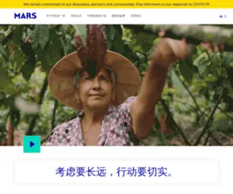 M-MS.com.cn(M MS) Screenshot