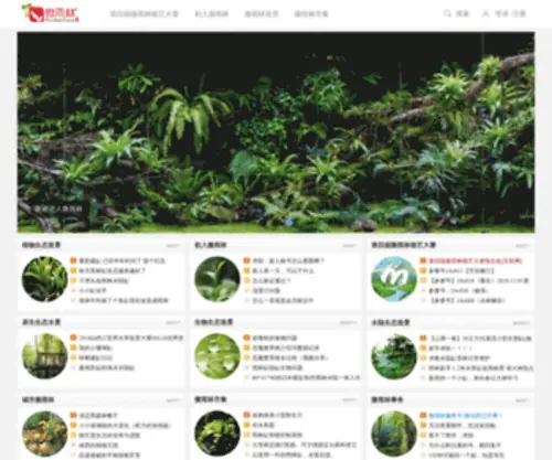 M-Rainforest.com(清梦网) Screenshot