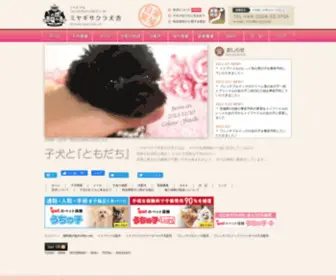 M-S-J.com(宮城県のトイプードルとフレンチブルドッグのブリーダー) Screenshot