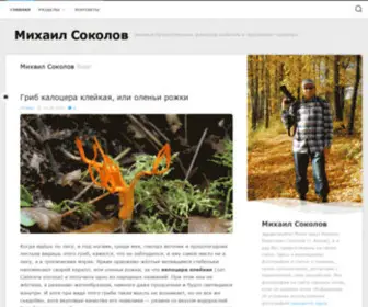 M-Sokolov.ru(Михаил Соколов) Screenshot