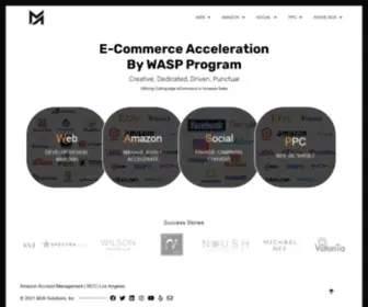 M2Asolutions.com(Grow ecommerce revenue … big time through obsessive focus on) Screenshot