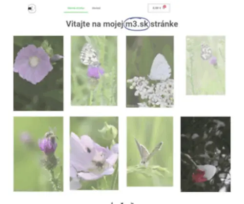 M3.sk(Webdesign) Screenshot