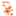 Maaifa.com Favicon
