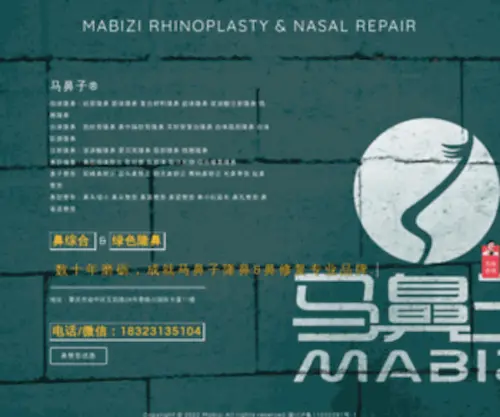 Mabizi.com(马鼻子®专业隆鼻和鼻修复) Screenshot