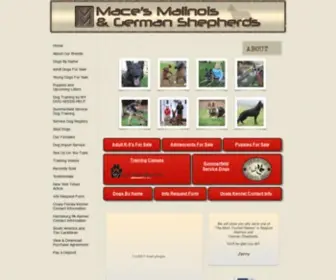 Macesmalinois.com(Mace’s Malinois & German Shepherds) Screenshot