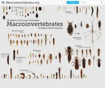 Macroinvertebrates.org(Macroinvertebrates) Screenshot