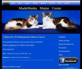 Madawaskamainecoons.com(Madawaska) Screenshot