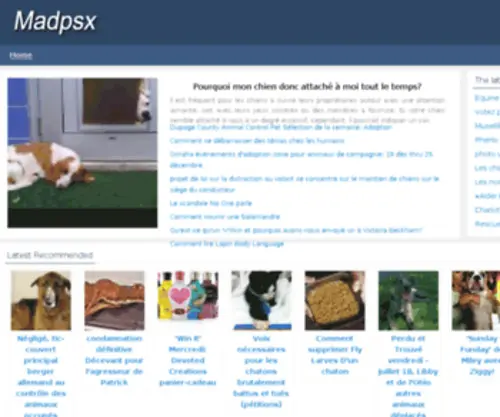 Madpsx.com(Madpsx) Screenshot