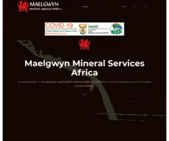 Maelgwynafrica.com(Mineral Services Africa (Pty) Ltd) Screenshot