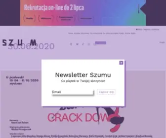 Magazynszum.pl(SZUM – sztuka w Polsce i Europie Środkowo) Screenshot