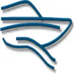 Magic-Sea.com Favicon