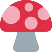 Magicmushroommap.com Favicon