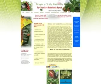 Magicoflife.org(Magic of Life) Screenshot