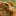 Magicskillet.com Favicon