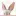Magicwordsbook.com Favicon