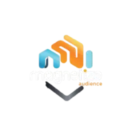 Magnetizeaudiences.com Favicon