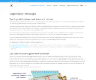 Magnetodyn.de(Magnetodyn) Screenshot