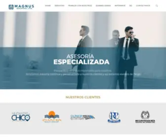 Magnusseguridad.com.co(Magnus Seguridad) Screenshot