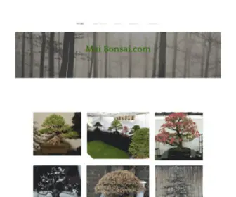 Maibonsai.com(Private bonsai collection website and blog) Screenshot