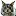 Mainecoon-Katzen.de Favicon