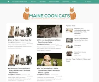Mainecoonadmirer.com(Everything about the Maine coon cat) Screenshot