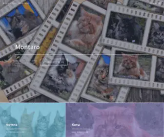 Mainecoonmontaro.com(мейн кун) Screenshot