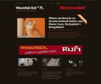 Mainecoon.net.pl(Hodowla kotów Maine Coon i Brytyjskich Kraków) Screenshot