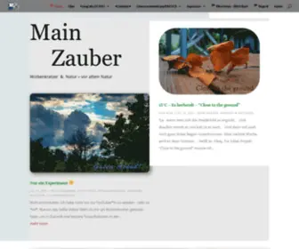 Mainzauber.de(Das Magazin) Screenshot