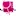 Maisondesfemmes.net Favicon