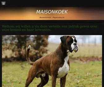 Maisonkoek.nl(Boxerkennel Maisonkoek Papendrecht) Screenshot