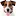 Makenutritiousdogfood.com Favicon