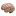 Makethebrainhappy.com Favicon