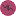 Maksiweb.com Favicon