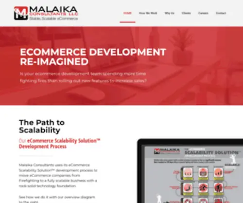 Malaikaconsultants.com(A custom software development company based in Cary) Screenshot