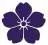 Malaysia-Sakura.com Favicon