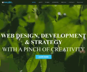 Maleki.ca(Web Design) Screenshot