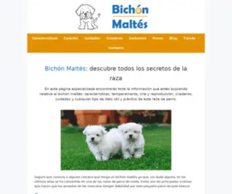 Maltesbichon.com(Web especializada en información útil y práctica sobre la raza del bichón maltés) Screenshot