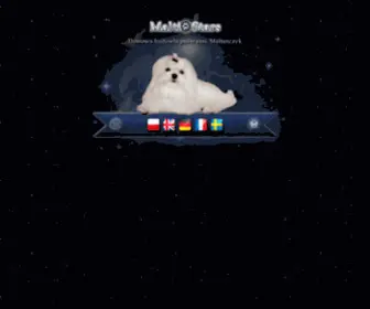 Maltistars.com(Domowa hodowla psów rasy maltańczyk /Maltese Breeding/) Screenshot