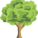 Mamaplantatree.com Favicon