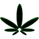 Mamasmarihuana.de Favicon