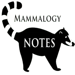 Mammalogynotes.org Favicon