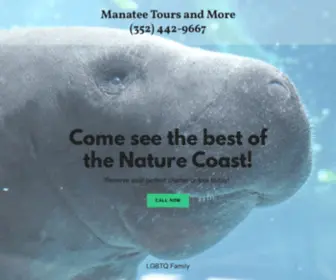 Manateetoursandmore.com(Manatee Tours and More) Screenshot