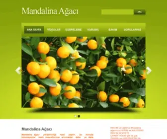 Mandalinaagaci.net(Ağacı) Screenshot