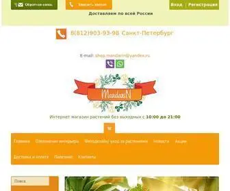Mandarin-Shop.ru(Мандарин) Screenshot