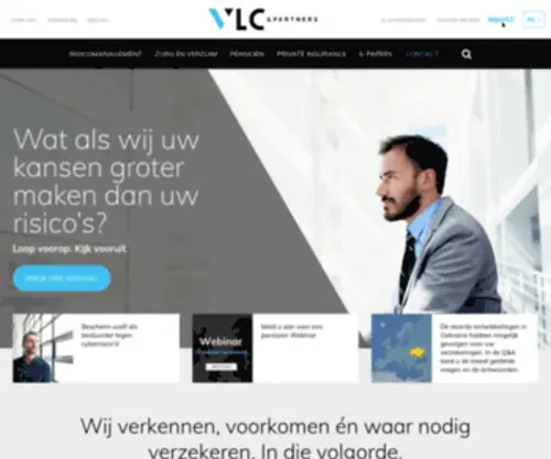 Mandema.nl(VLC & Partners) Screenshot