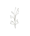 Mandybusbycreative.com Favicon
